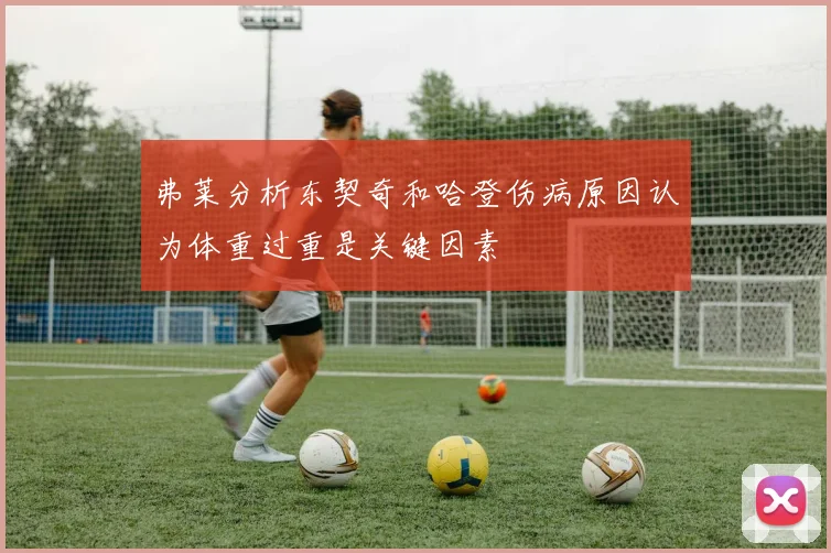 弗莱分析东契奇和哈登伤病原因认为体重过重是关键因素