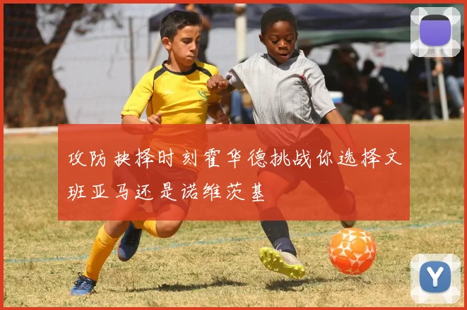 攻防抉择时刻霍华德挑战你选择文班亚马还是诺维茨基